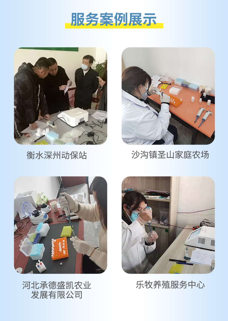 非洲豬瘟檢測儀 非洲豬瘟檢測儀