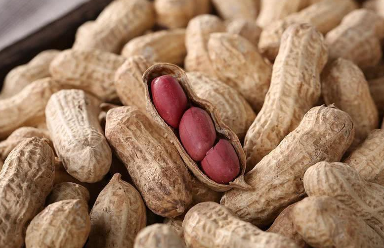 黃曲霉素 黃曲霉素